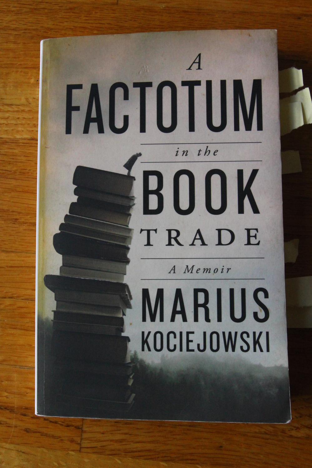 Cover of "A Factotum in the Book Trade" by Marius Kociejowski